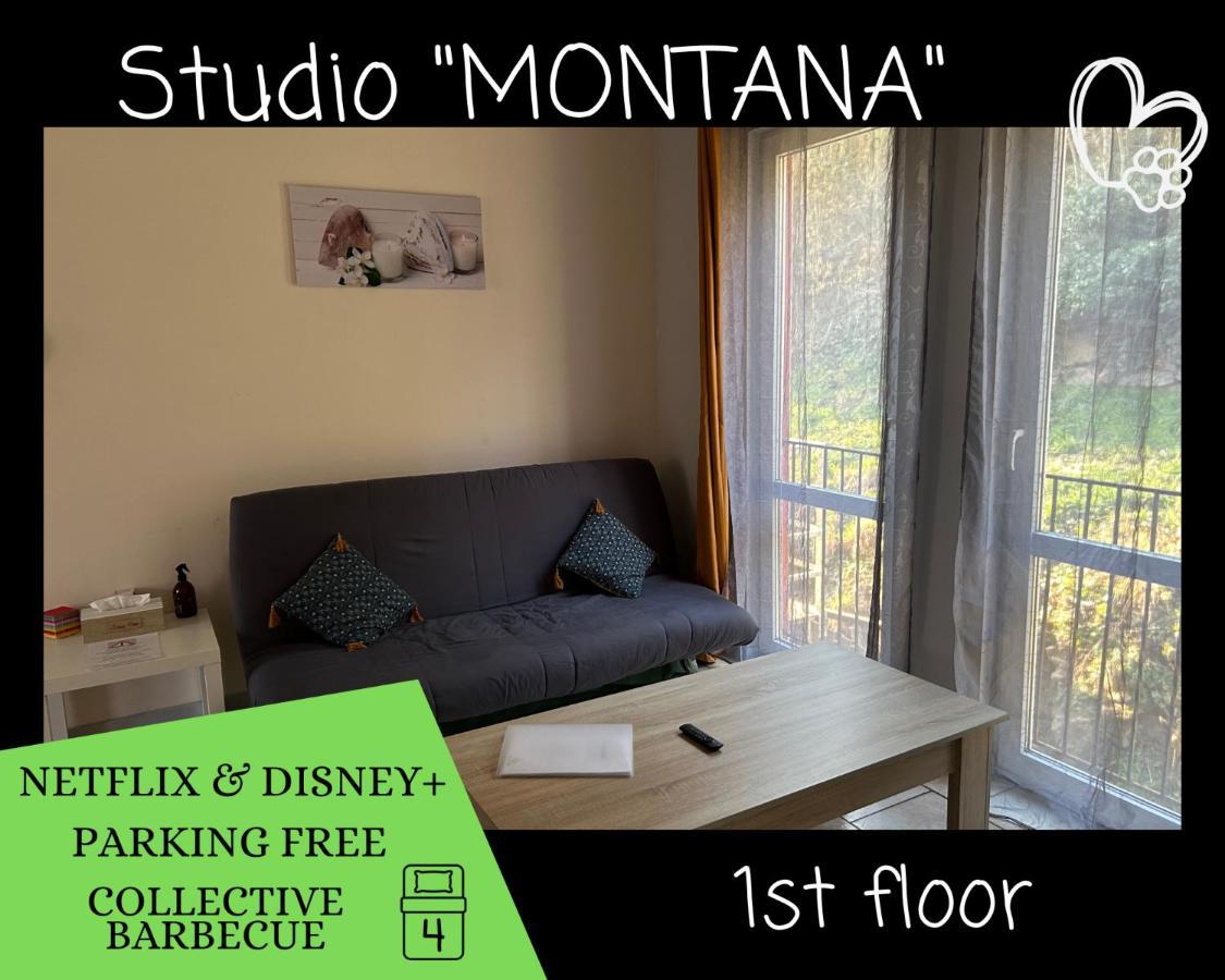 L'Arizona Dinant - Studio Montana - Barbecue, Free Parking, Dog Ok Εξωτερικό φωτογραφία
